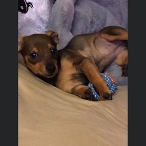 Meet your Posher, Caleb